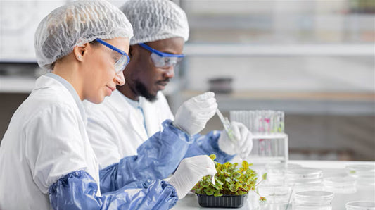 Notre Culture repose sur l'innovation